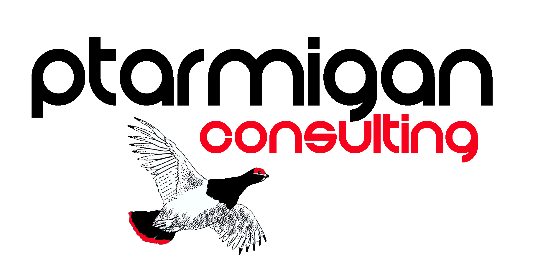 Ptarmigan Consulting